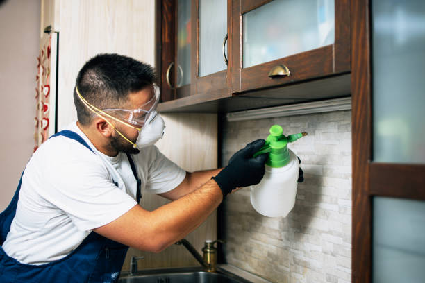 Trusted Lake Cassidy, WA Pest Control Experts