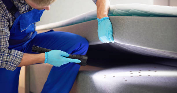 Best Pest Removal Services  in Lake Cassidy, WA