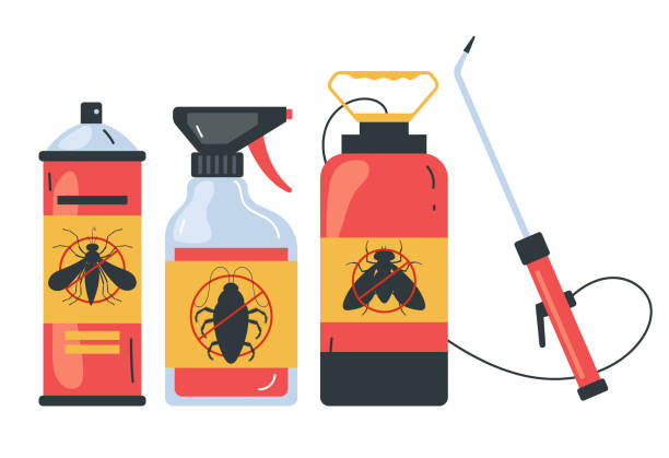Best Wasp Removal Services  in Lake Cassidy, WA